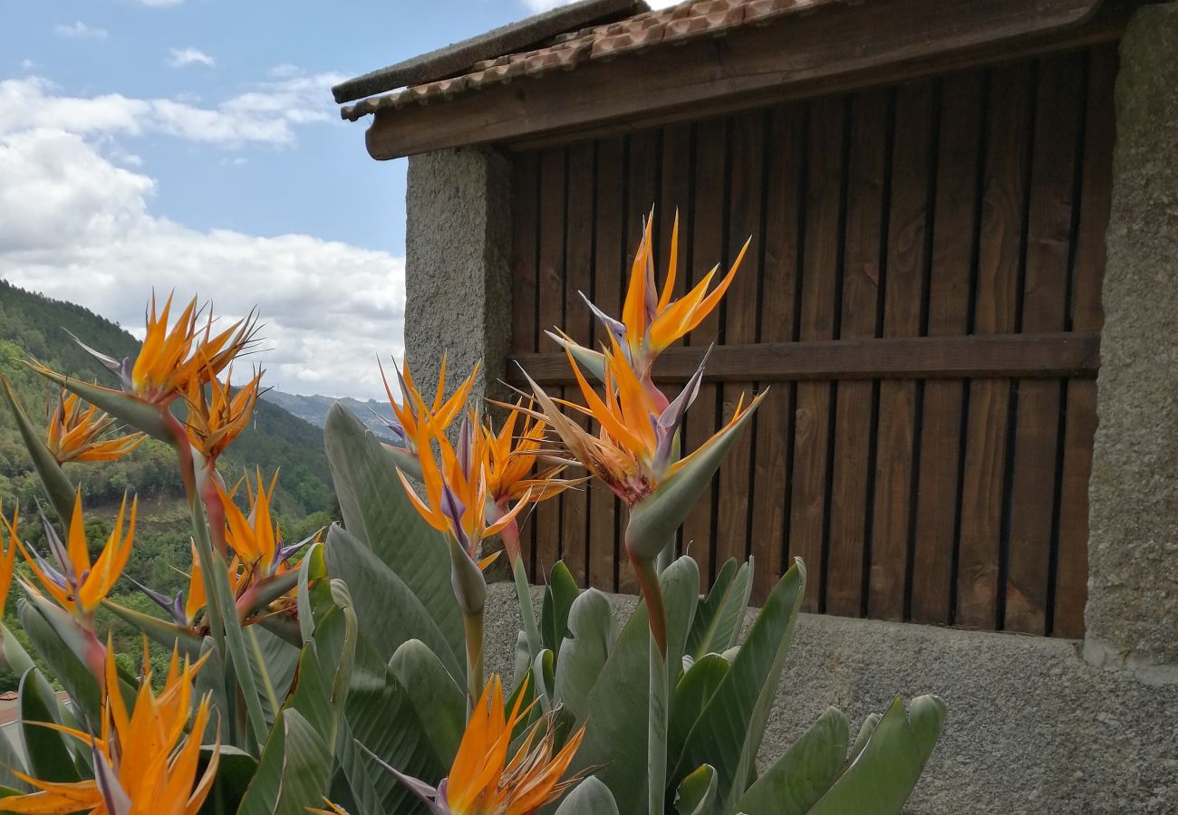 Casa rural em Gerês - Tea House Gerês Hipericão
