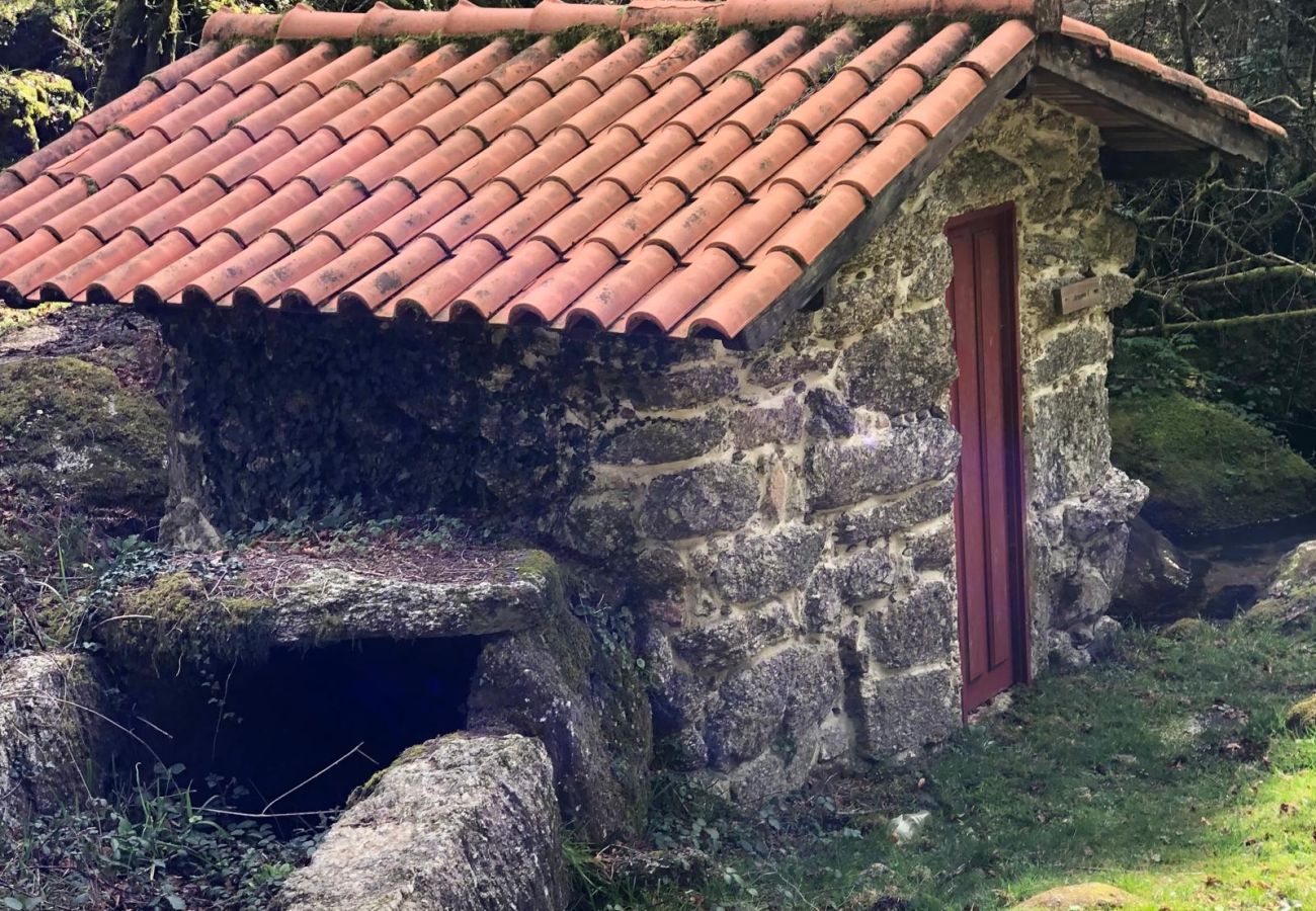 Cottage in Terras de Bouro - Casa da Fonte - Monte