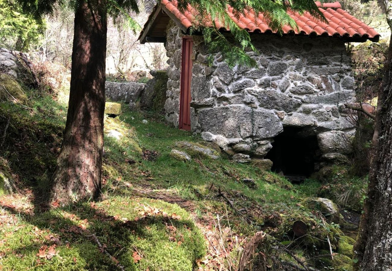 Cottage in Terras de Bouro - Casa da Fonte - Monte