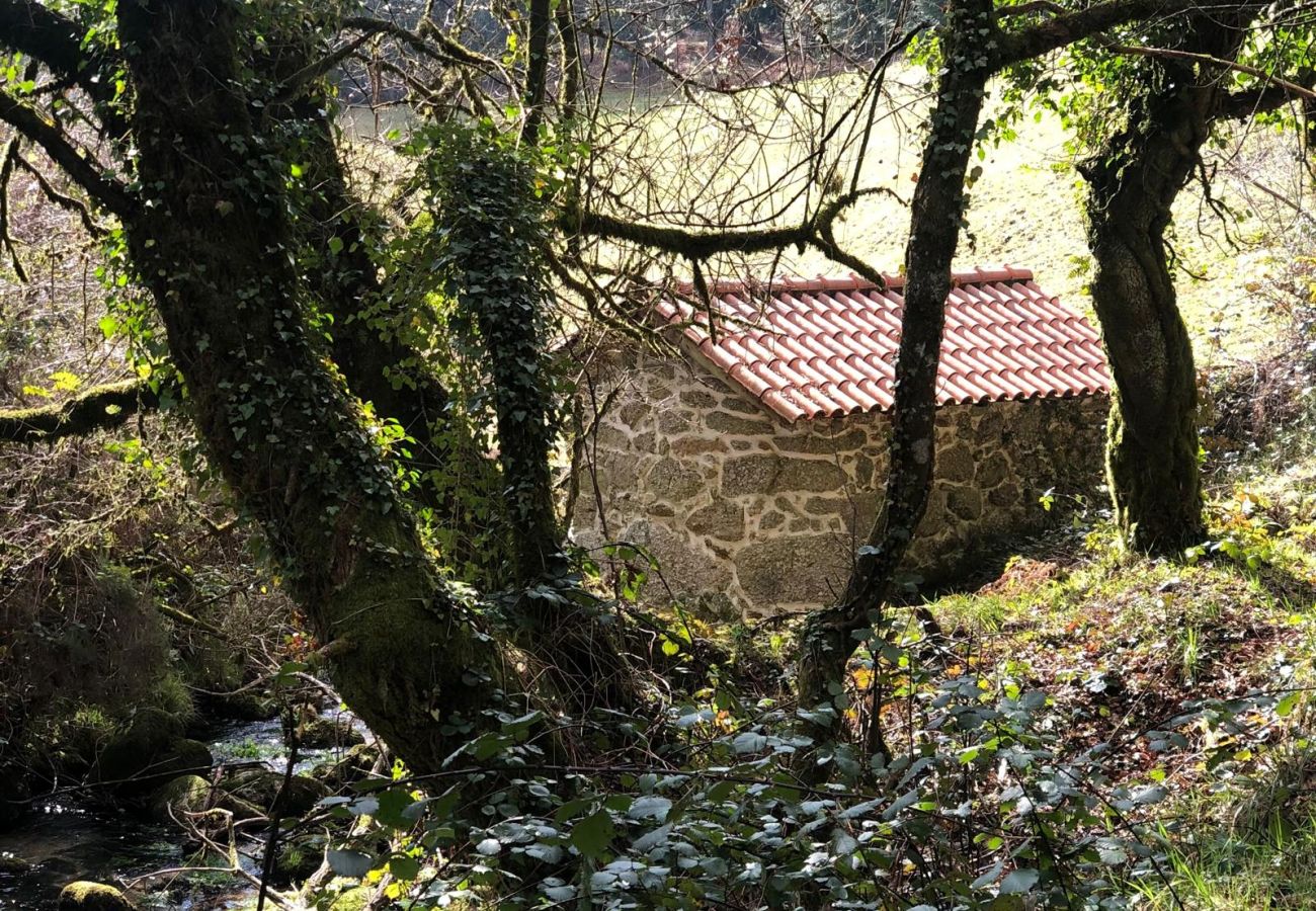 Cottage in Terras de Bouro - Casa da Fonte - Monte